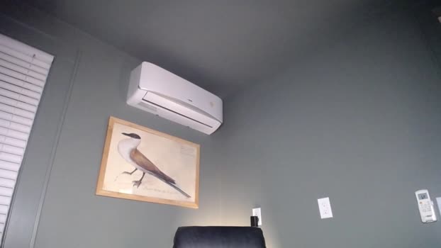 holenextdoor 07-03-2024 video Show