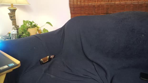 scott_bleu 07-03-2024 video Recorded