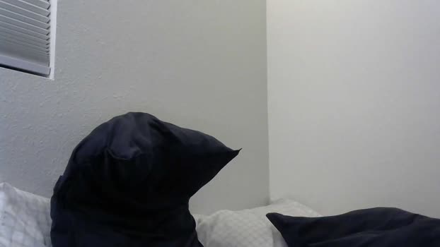 wongfuud 07-03-2024 video fuckhard