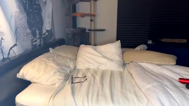 iblamedevan 08-03-2024 video toy