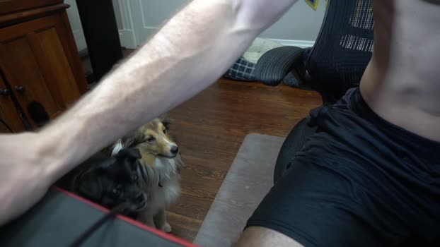 sydaffect 08-03-2024 video analtoy