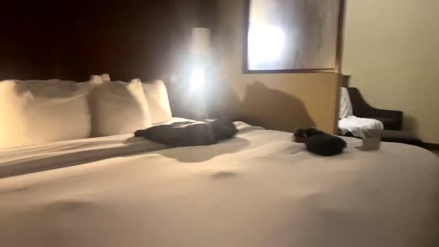 bigtimber02 16-03-2024 video suckcock