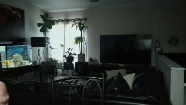 dohmerboyz 16-03-2024 video lovense