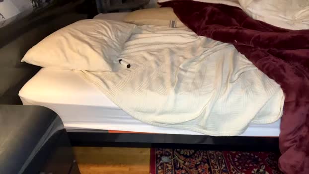 iblamedevan 20-03-2024 video nude