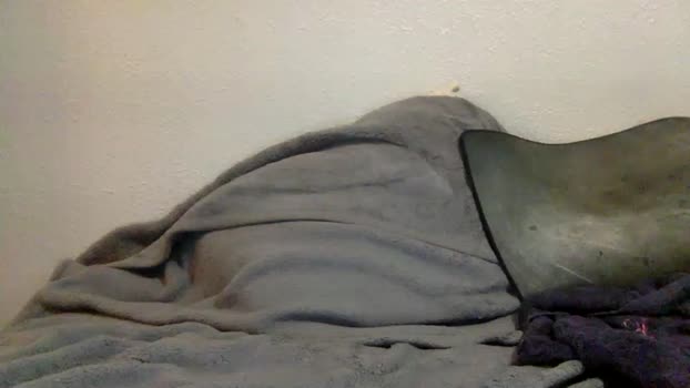 slrnst 20-03-2024 video ass