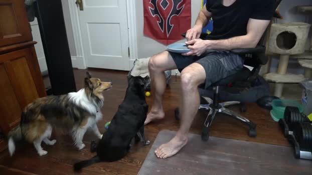 sydaffect 23-03-2024 video Naked