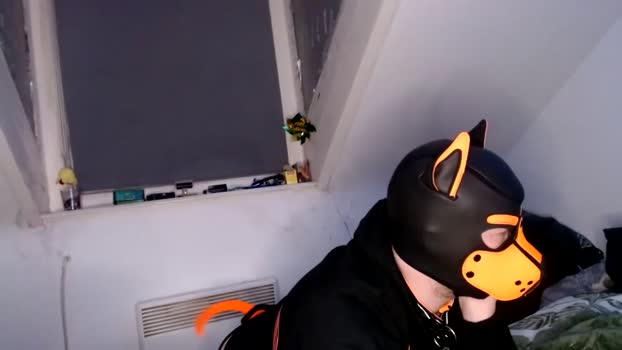 pupdion 25-03-2024 video natural