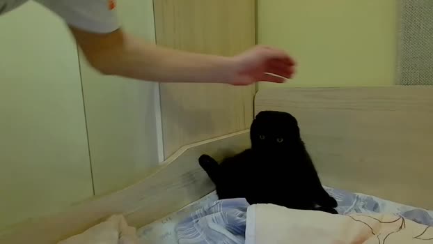 dva_eblana 26-03-2024 video orgasm