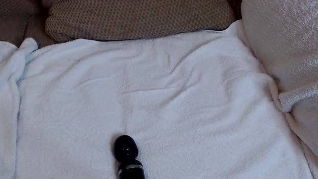 sixpak7 25-03-2024 video sweet