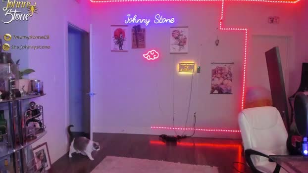 thejohnnystone 26-03-2024 video Cam