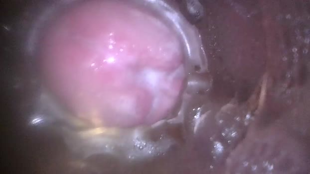 xoxowtf 25-03-2024 video jerking