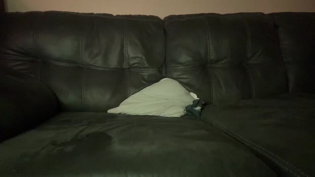 alphazack14 27-03-2024 video fuckass