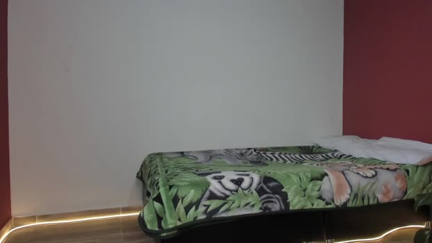 noahbrawn 26-03-2024 video toy