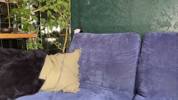 mason_diaz 28-03-2024 video blowjob