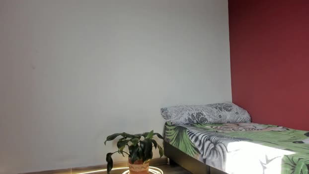 noahbrawn 27-03-2024 video ass