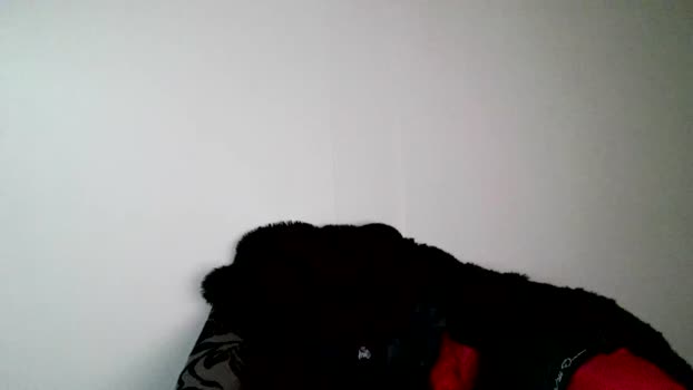 gympillow 28-03-2024 video striptease