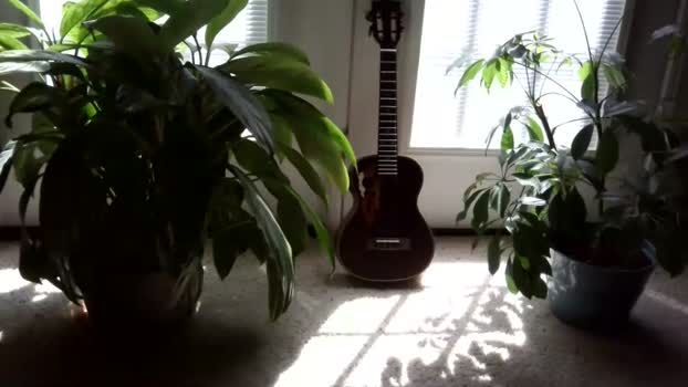 masterchaturbait 31-03-2024 video fuckface