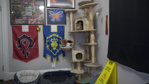 sydaffect 01-04-2024 video Nude