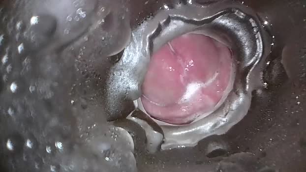 xoxowtf 04-04-2024 video big