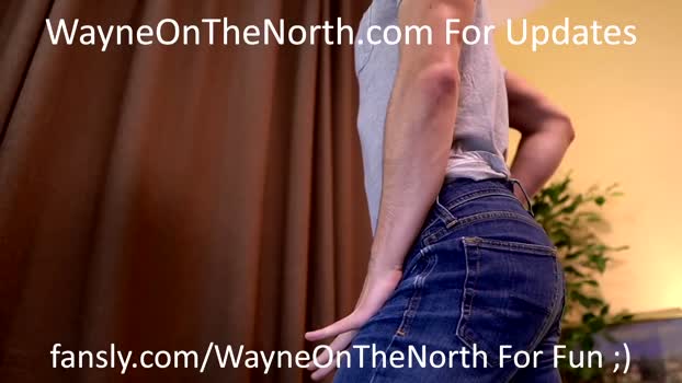 waynenorth 04-04-2024 video strip