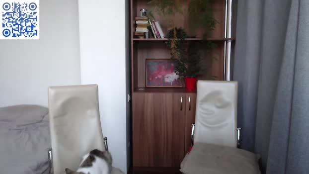 donowan_snow 06-04-2024 video suckcock