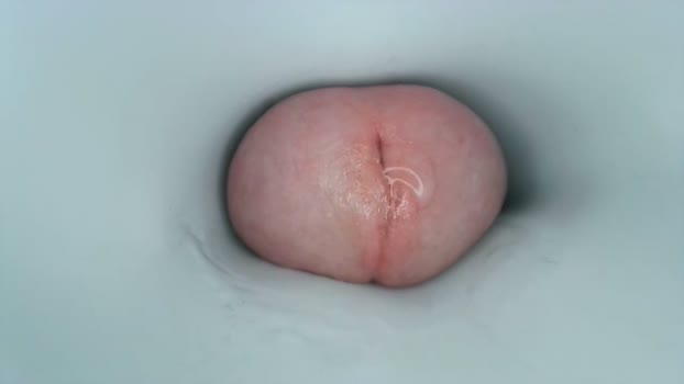 jeffrodgerschaturbat 07-04-2024 video moan