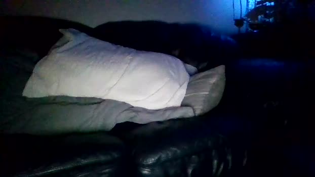 kingyakattaka 07-04-2024 video jerkoff