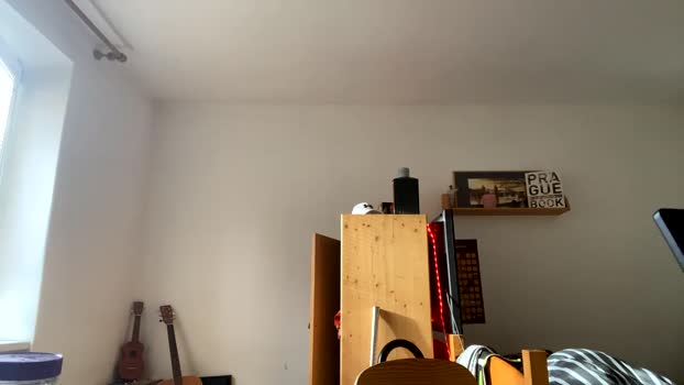 michalstancl 07-04-2024 video fuckass