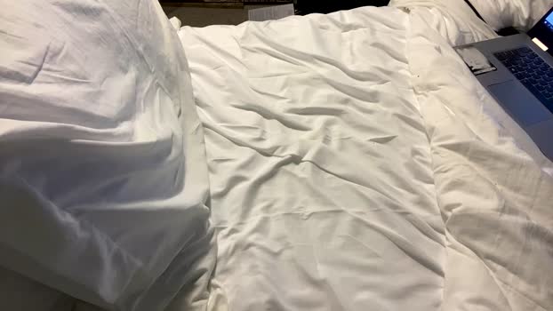 exotic_islander 09-04-2024 video Ass