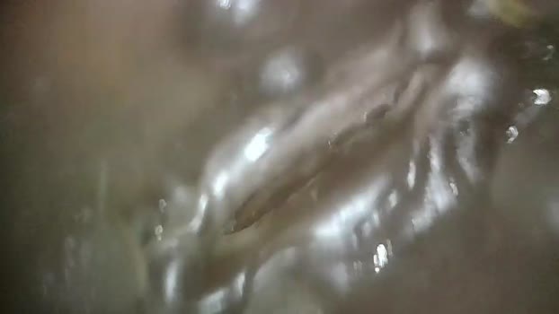 xoxowtf 09-04-2024 video moan