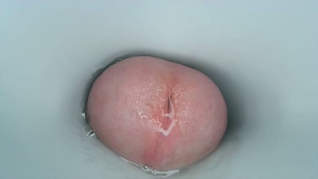 jeffrodgerschaturbat 10-04-2024 video bicurious