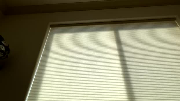 bigger22332233 10-04-2024 video kink