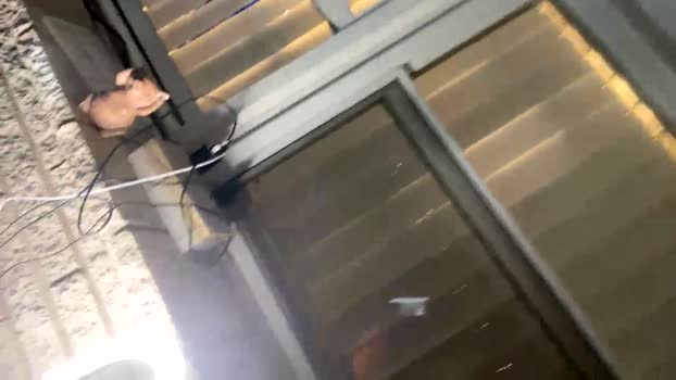 curiousboy7k 11-04-2024 video big