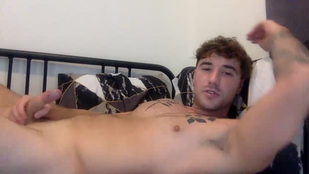 willd6 12-04-2024 video analtoy