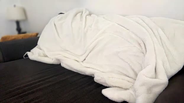 alphaapex1972 15-04-2024 video fuckhard