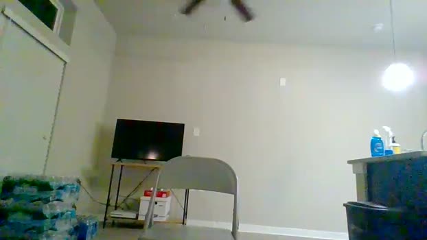 caseykink1 15-04-2024 video sexy