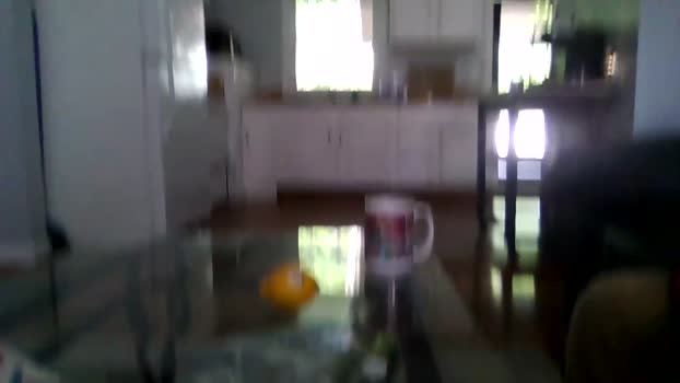 kingyakattaka 15-04-2024 video bigdick