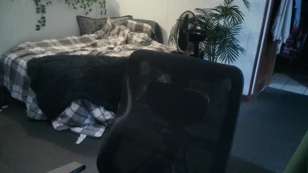 oblonglongshlong 15-04-2024 video strip