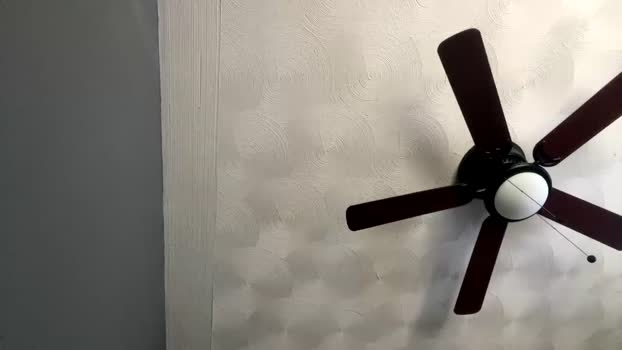 wahidthakyd 16-04-2024 video sexy