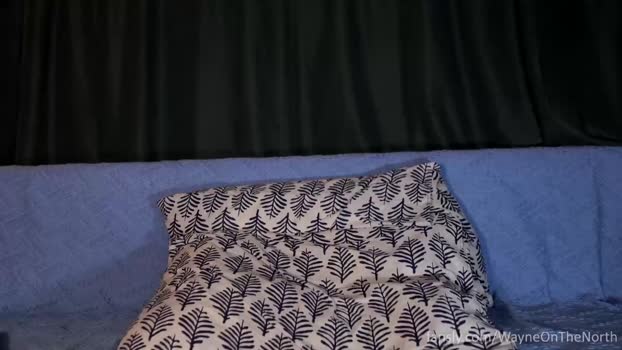 waynenorth 18-04-2024 video suckcock