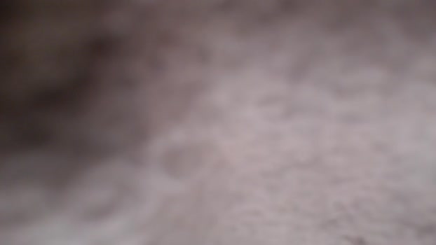 chrisbonewhite 20-04-2024 video oral