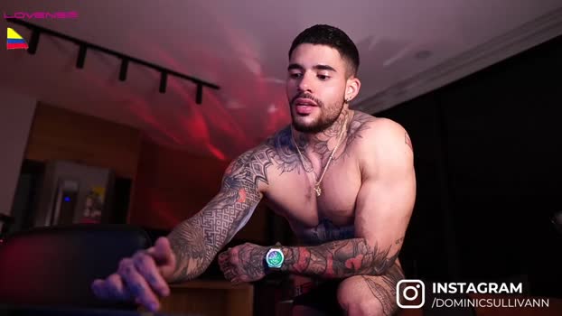 dominic_sullivan1 20-04-2024 video strip