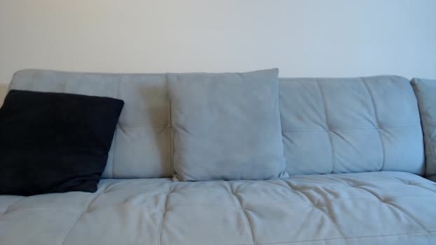 donnybasilisk 22-04-2024 video kissing