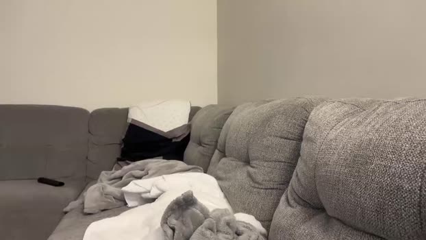 newyorkcity01 22-04-2024 video amateur