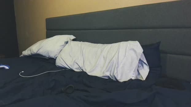 downforthemoney 23-04-2024 video horny