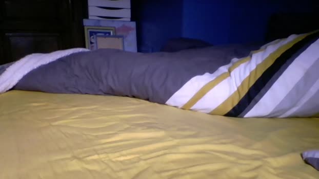 goodboy146 22-04-2024 video bigdick