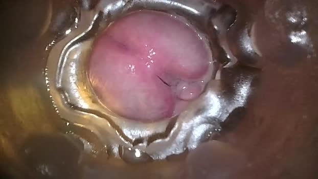 xoxowtf 24-04-2024 video fuckhard