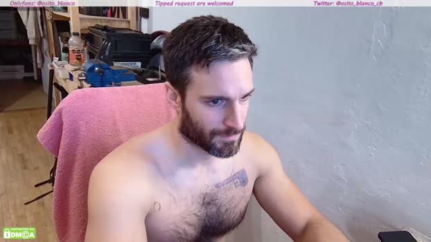 osito_blanco 25-04-2024 video lick