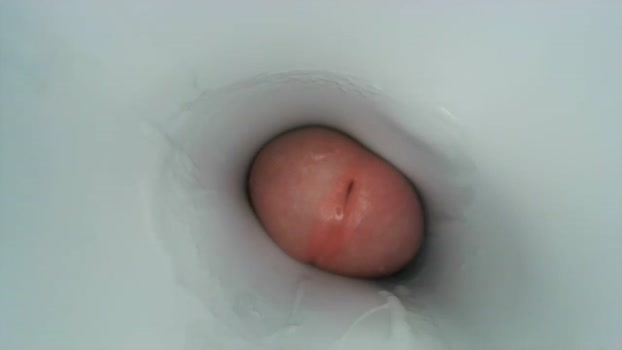 jeffrodgerschaturbat 27-04-2024 video sexy