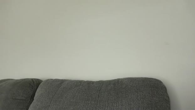 newyorkcity01 28-04-2024 video bigdick